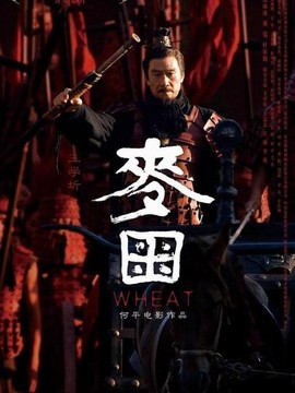 长平大战之麦田_宅剧情