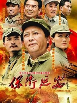保卫延安_宅剧情