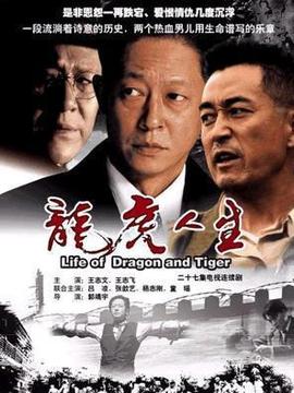 龙虎人生_宅剧情