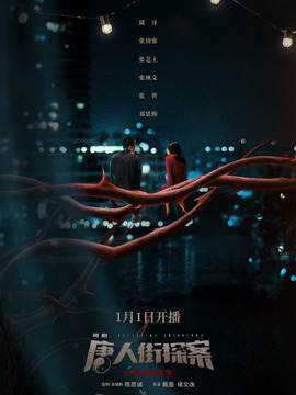 唐人街探案_宅剧情