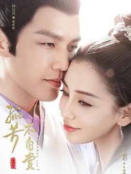 孤芳不自赏_宅剧情