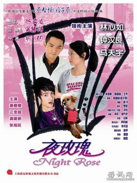 夜玫瑰_宅剧情