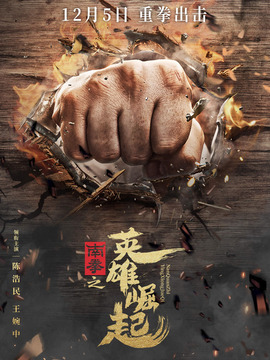 南拳之英雄崛起_宅剧情