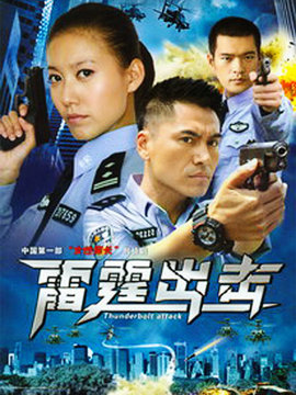 要案组雷霆出击_宅剧情