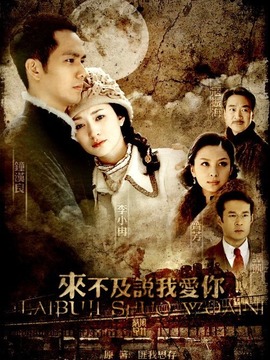 来不及说我爱你_宅剧情