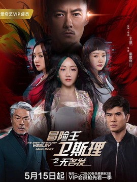 冒险王卫斯理之无名发_宅剧情