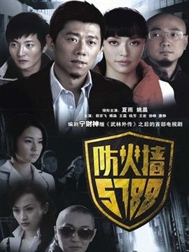 防火墙5788_宅剧情