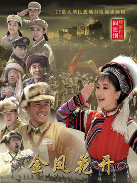 金凤花开_宅剧情