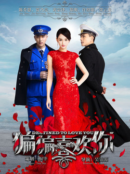 偏偏喜欢你_宅剧情