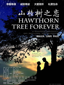 山楂树之恋_宅剧情