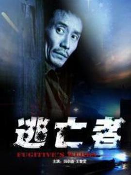 逃亡者_宅剧情