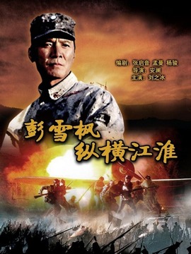 彭雪枫纵横江淮_宅剧情