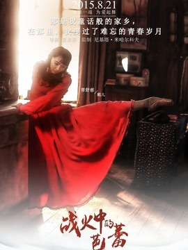 战火中的芭蕾_宅剧情