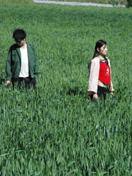 麦田里的芭蕾_宅剧情