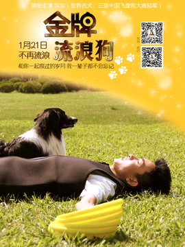 金牌流浪狗_宅剧情