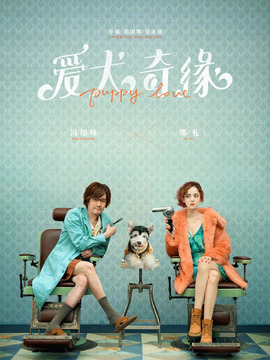 爱犬奇缘_宅剧情
