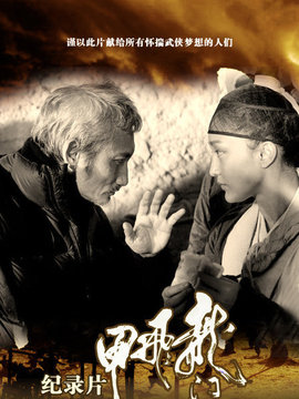 龙门飞甲纪录片_宅剧情