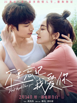 不要忘记我爱你_宅剧情