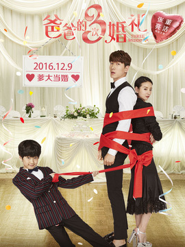 爸爸的3次婚礼_宅剧情
