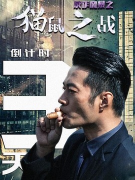 反诈风暴之猫鼠之战_宅剧情