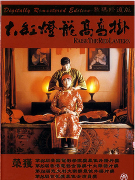 大红灯笼高高挂_宅剧情