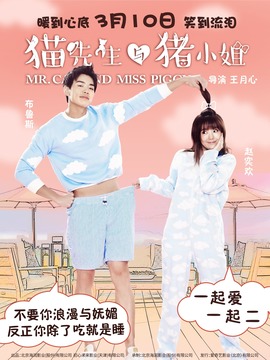 猫先生与猪小姐_宅剧情