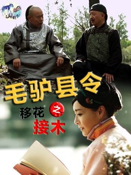 毛驴县令之移花接木_宅剧情