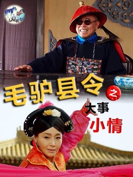 毛驴县令之大事小情_宅剧情