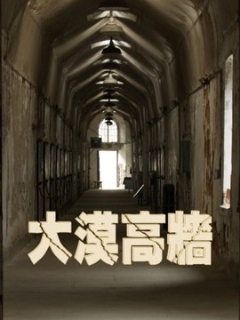 大漠高墙_宅剧情