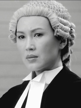 法网群英_宅剧情