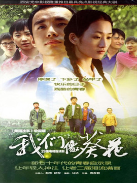 我们像葵花_宅剧情