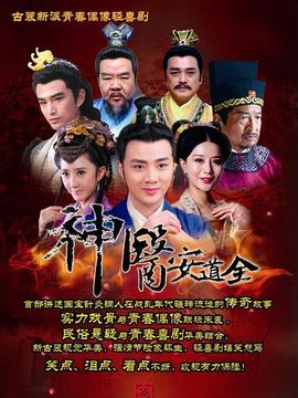 神医安道全_宅剧情