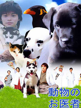 迷糊动物医生_宅剧情