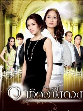 征服太阳_宅剧情